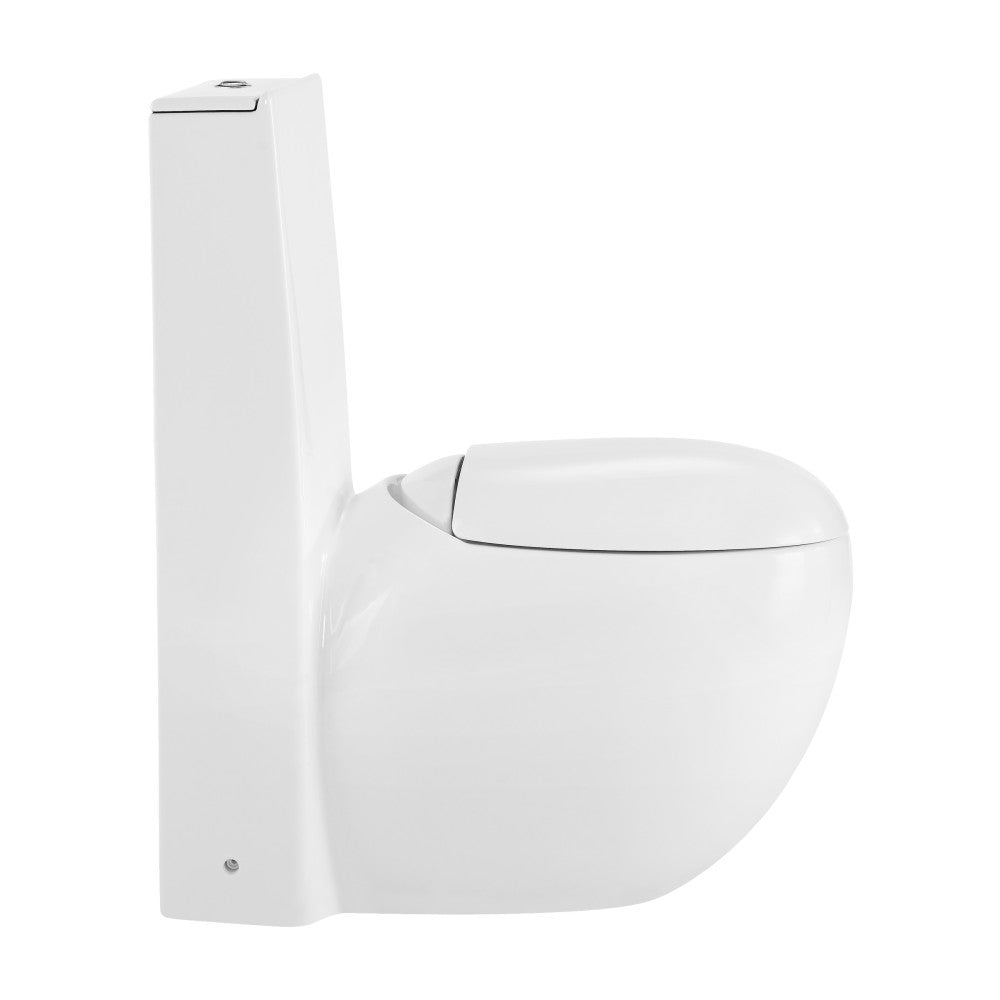 Swiss Madison Plaisir One-Piece Elongated Toilet Dual-Flush 1.1/1.6 gpf