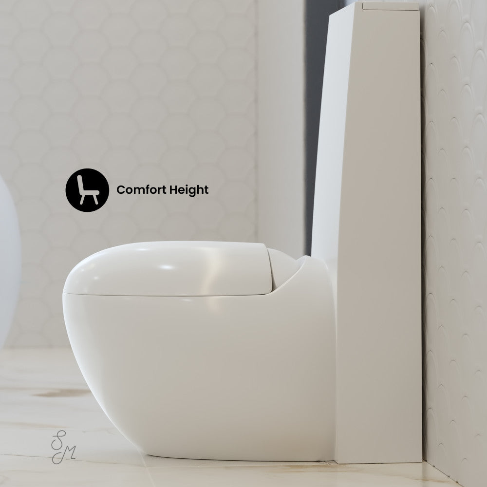 Swiss Madison Plaisir One-Piece Elongated Toilet Dual-Flush 1.1/1.6 gpf