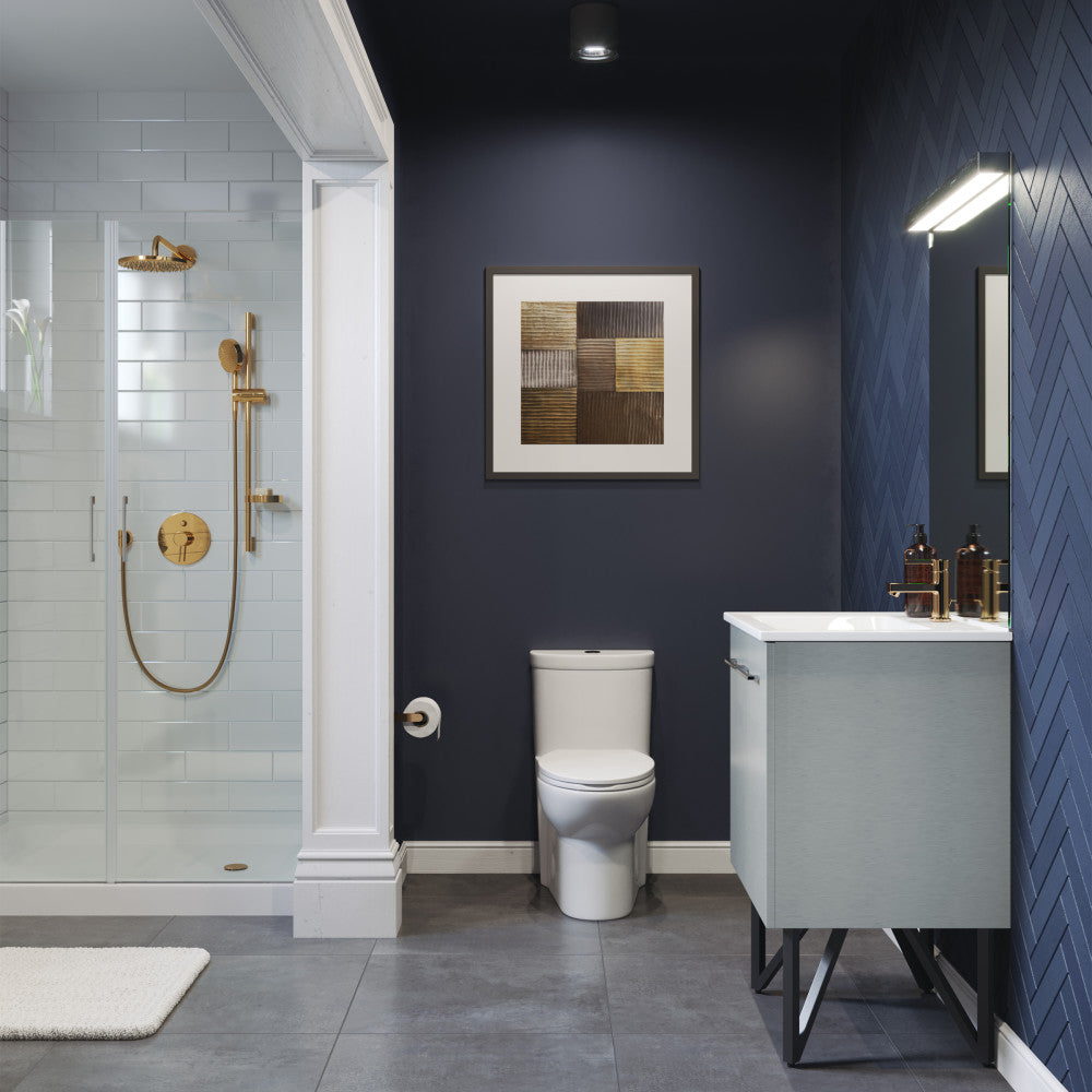 Swiss Madison Sublime One-Piece Elongated Toilet Dual-Flush 1.1/1.6 gpf