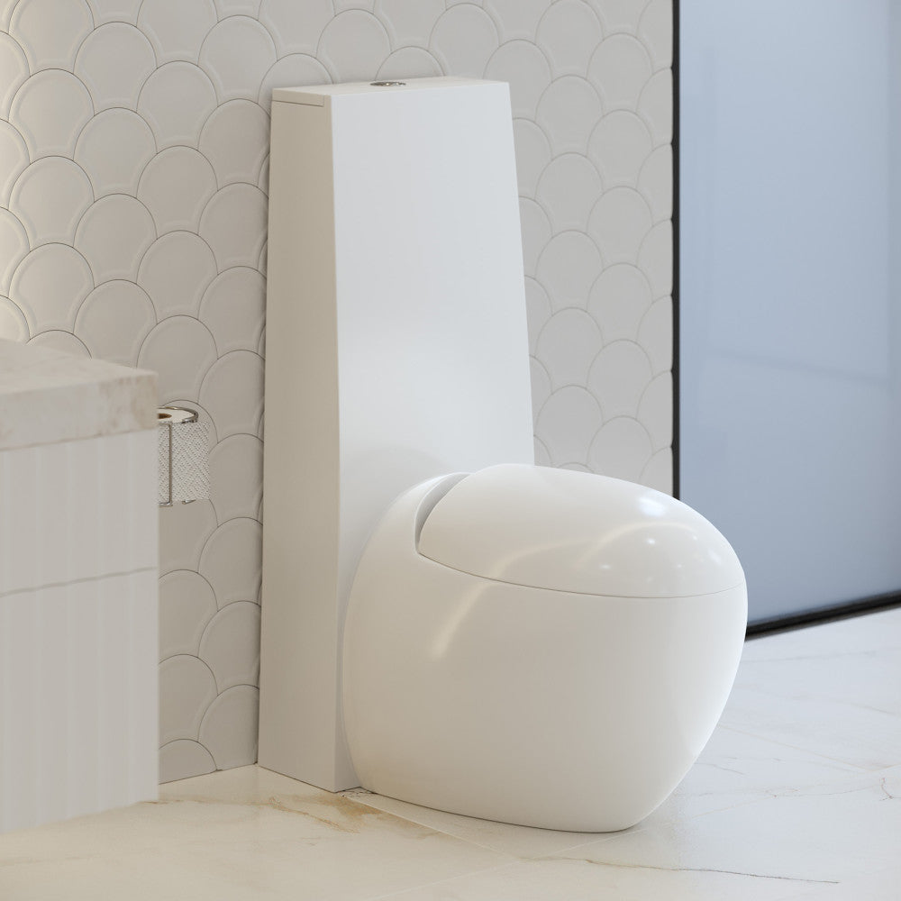 Swiss Madison Plaisir One-Piece Elongated Toilet Dual-Flush 1.1/1.6 gpf