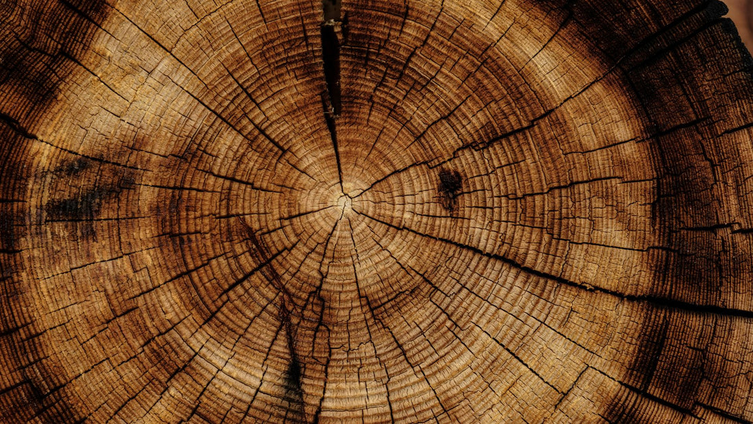Acacia, Beech, Elm, Birch, and Mindi wood