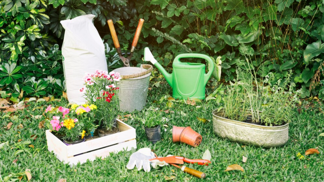 Combining beauty and bounty in your small-space garden