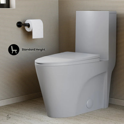 Swiss Madison St. Tropez One-Piece Elongated Toilet Vortex™ Dual-Flush 1.1/1.6 gpf in Matte Grey