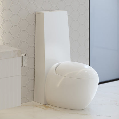 Swiss Madison Plaisir One-Piece Elongated Toilet Dual-Flush 1.1/1.6 gpf