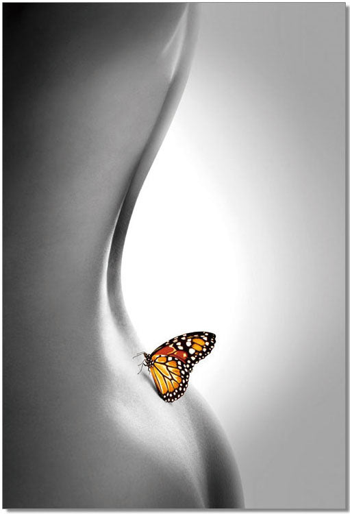 J&M Furniture Wall Art Butterfly