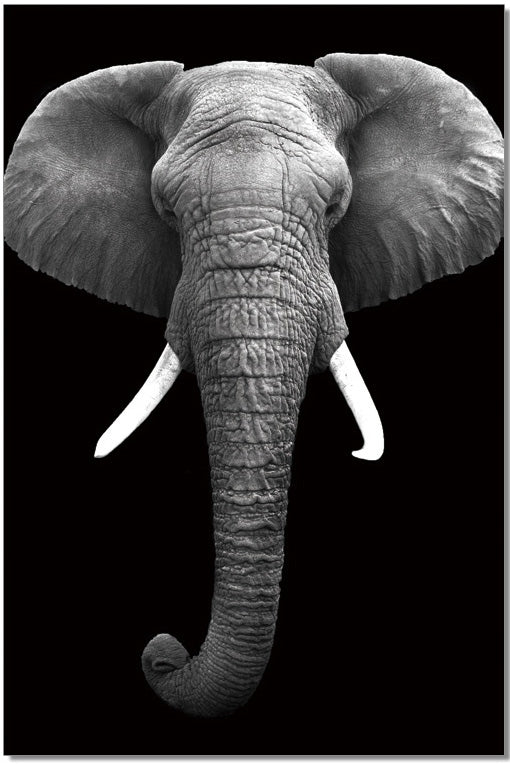 J&M Furniture Wall Art Elephant