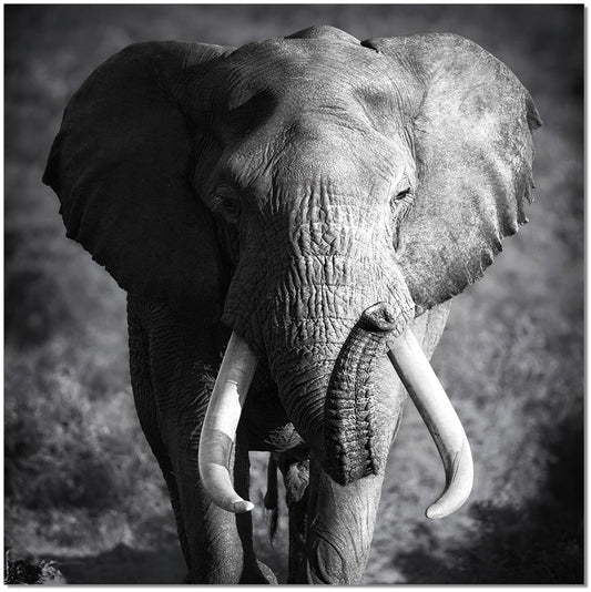 J&M Furniture Wall Art Elephant Power