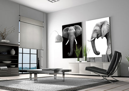J&M Furniture Wall Art Tusk