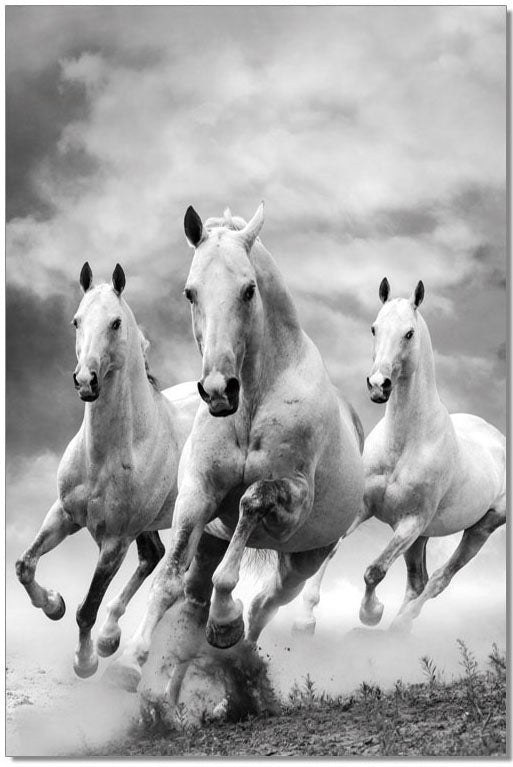 J&M Furniture Wall Art Galloping Horses
