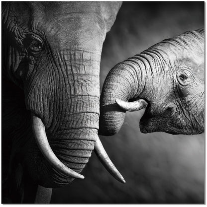 J&M Furniture Wall Art Mama Elephant