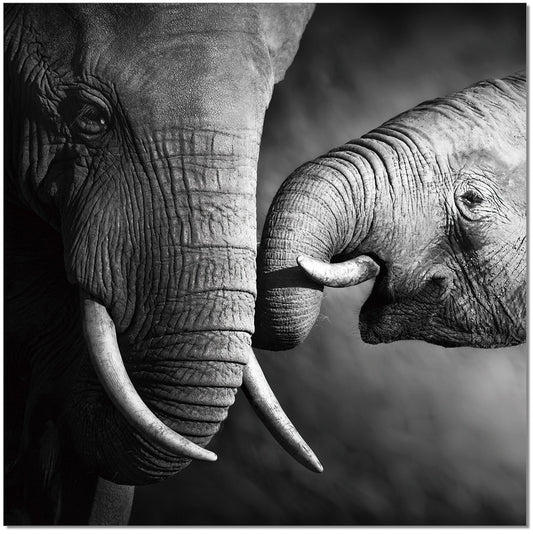 J&M Furniture Wall Art Mama Elephant