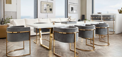Pandora Dining Chair in Grey Velvet with Polished Gold Frame by Diamond Sofa