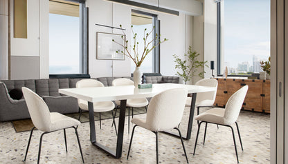 Session 2-Pack Dining Chair in Ivory Boucle w/ Black Powder Coat Metal Leg by Diamond Sofa