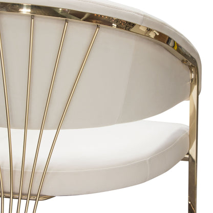 Solstice Dining Chair in Cream Velvet w/ Polished Gold Metal Frame by Diamond Sofa