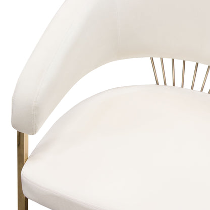 Solstice Dining Chair in Cream Velvet w/ Polished Gold Metal Frame by Diamond Sofa