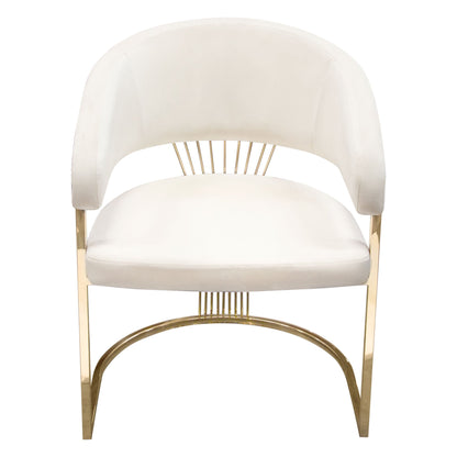 Solstice Dining Chair in Cream Velvet w/ Polished Gold Metal Frame by Diamond Sofa