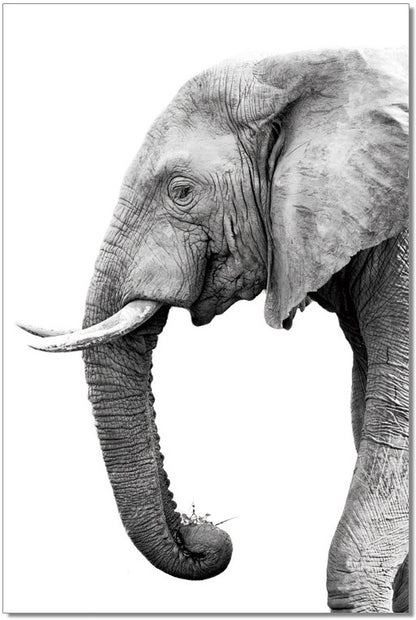 J&M Furniture Wall Art Tusk