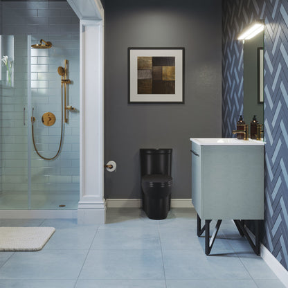 Swiss Madison Sublime One-Piece Elongated Toilet Dual-Flush in Matte Black 1.1/1.6 gpf