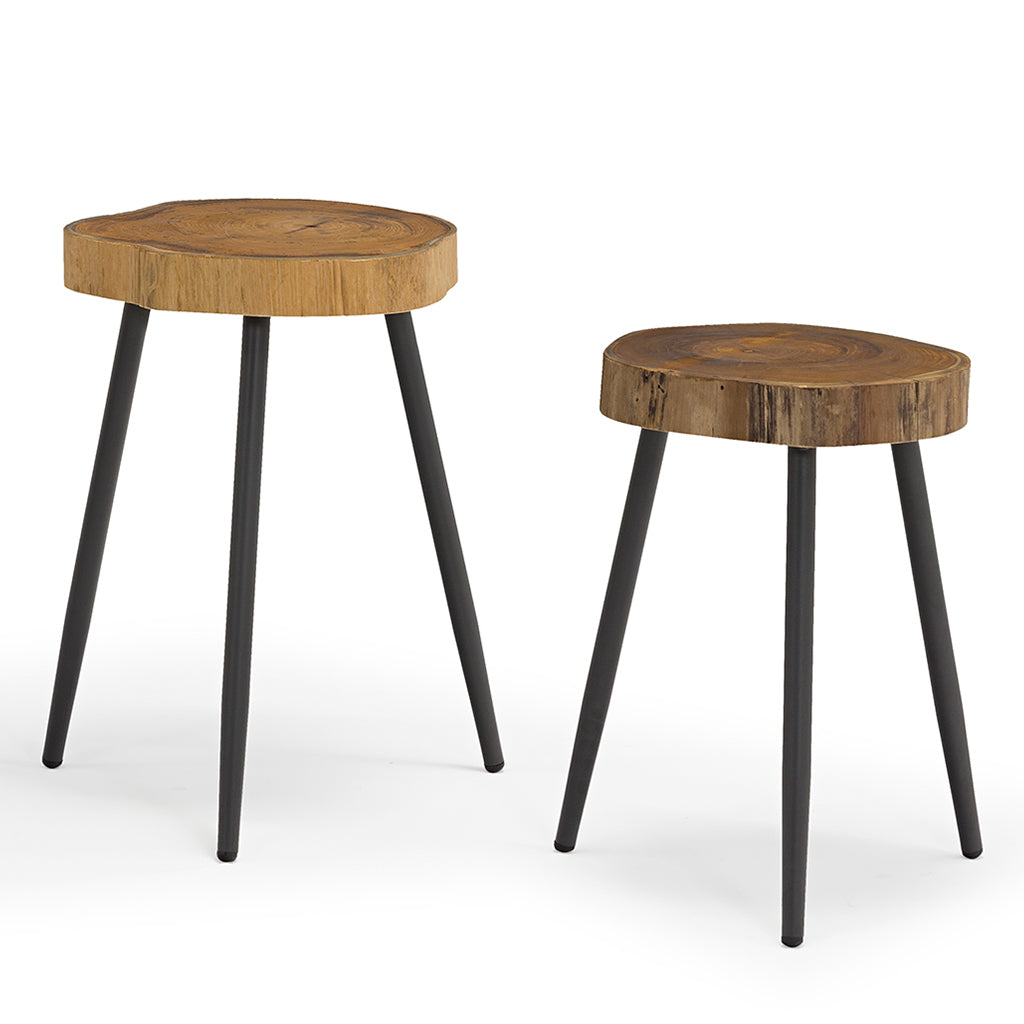 Penelope | Set of 2 Teak Log End Table, Metal Legs, ST1685