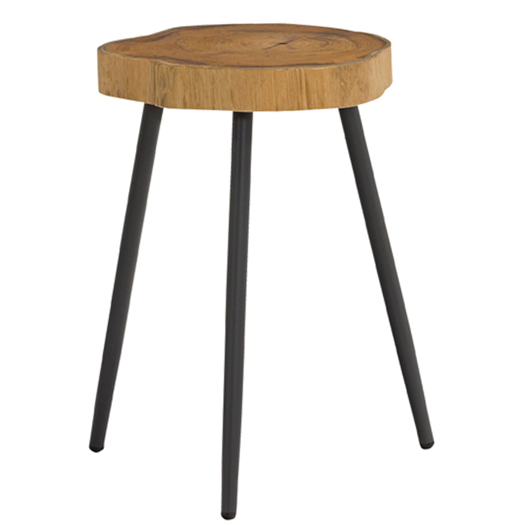 Penelope | Set of 2 Teak Log End Table, Metal Legs, ST1685