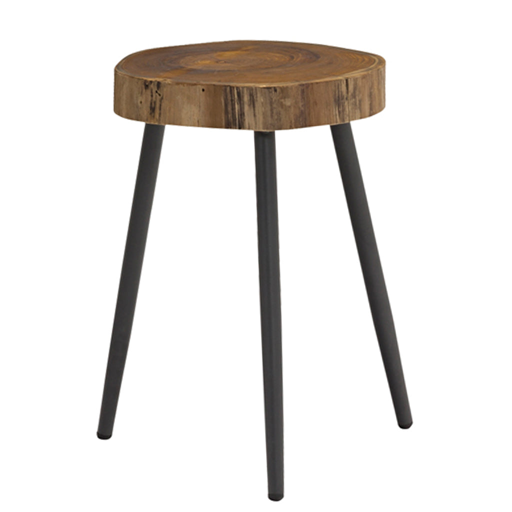 Penelope | Set of 2 Teak Log End Table, Metal Legs, ST1685