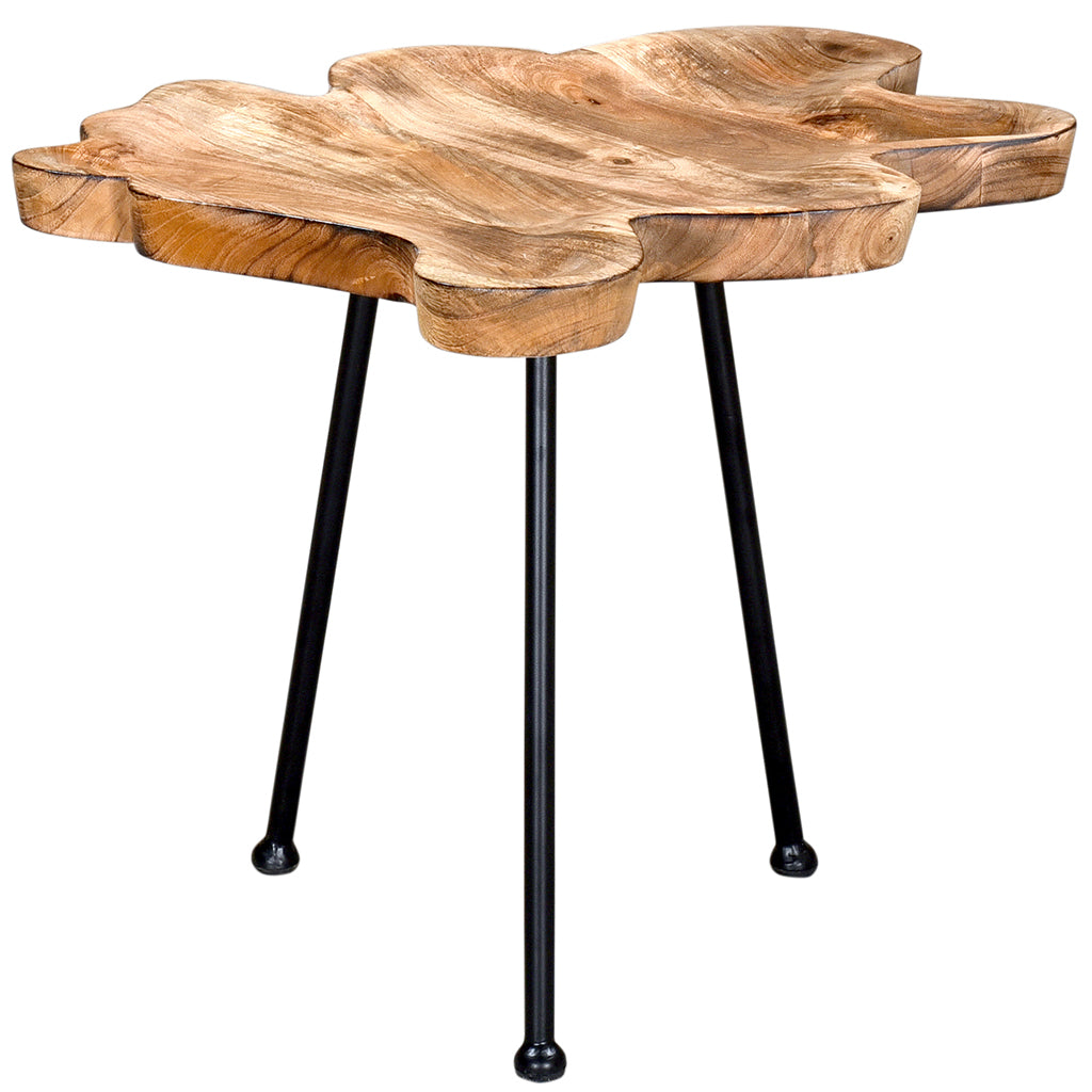 Pari | Live Edge End Table Metal Legs, Mango Wood, 501-515BK