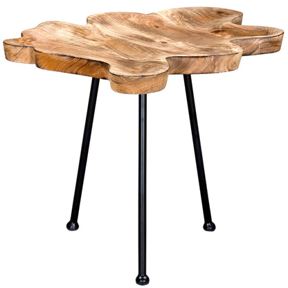 Pari | Live Edge End Table Metal Legs, Mango Wood, 501-515BK