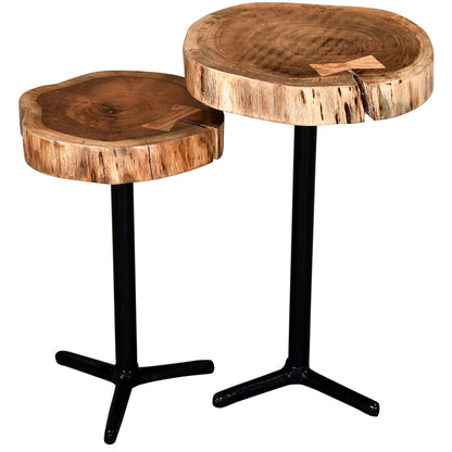 Set of 2 - Keya | Small Natural Tree Stump End Table, Acacia, 501-514NAT