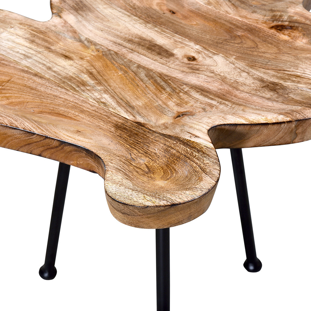 Pari | Live Edge End Table Metal Legs, Mango Wood, 501-515BK