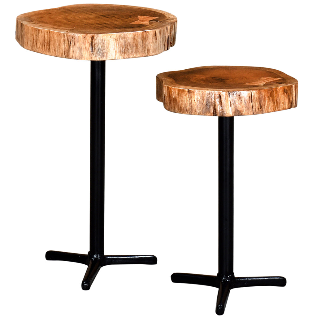 Set of 2 - Keya | Small Natural Tree Stump End Table, Acacia, 501-514NAT