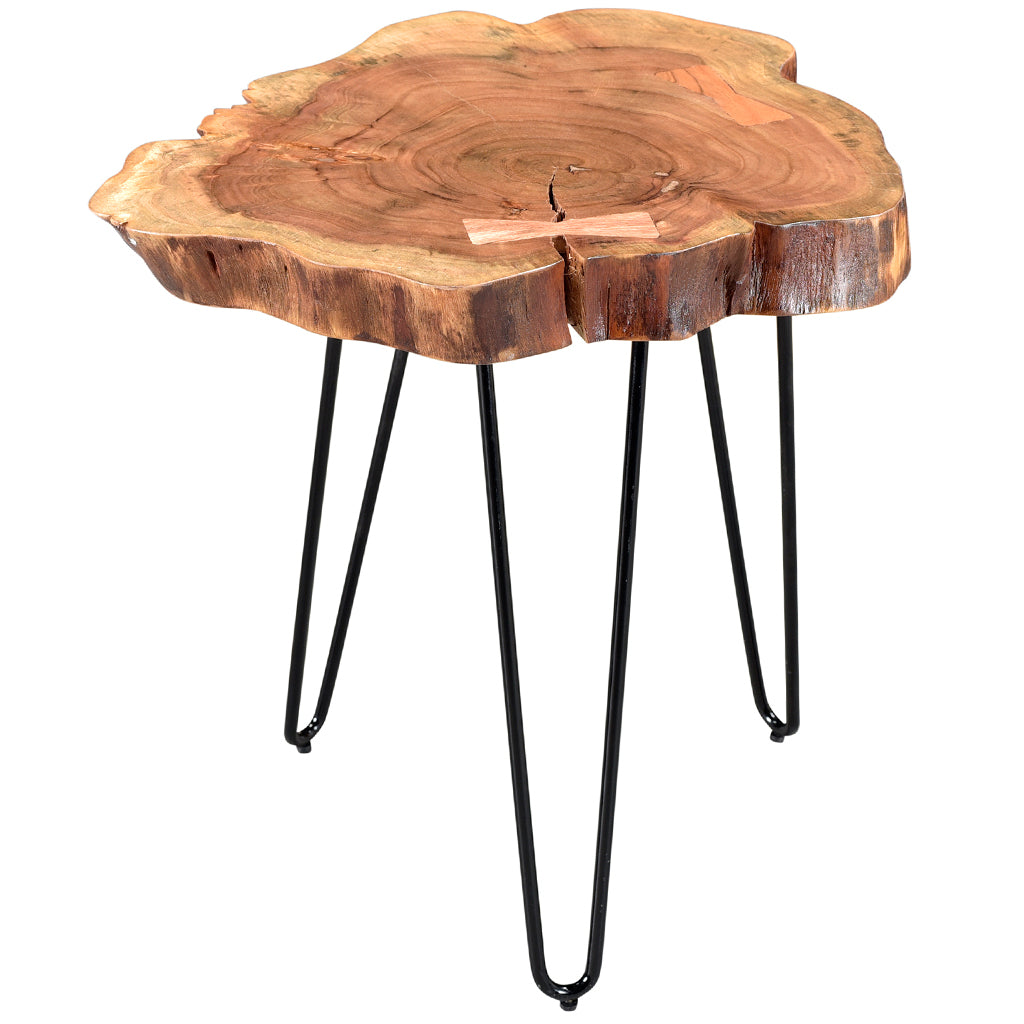 Nila | Acacia Tree Stump End Table Metal Legs, 501-329NAT