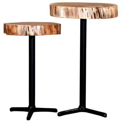 Set of 2 - Keya | Small Natural Tree Stump End Table, Acacia, 501-514NAT