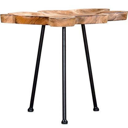 Pari | Live Edge End Table Metal Legs, Mango Wood, 501-515BK